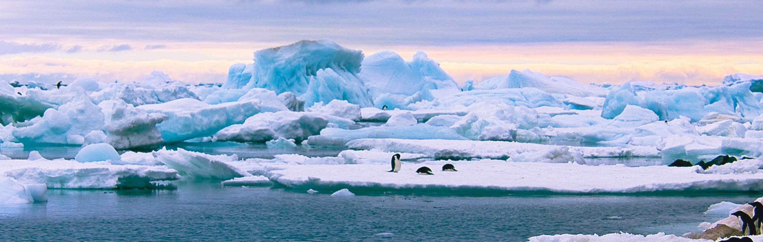 What Business Leaders Can Learn From The Age of Antarctic Exploration